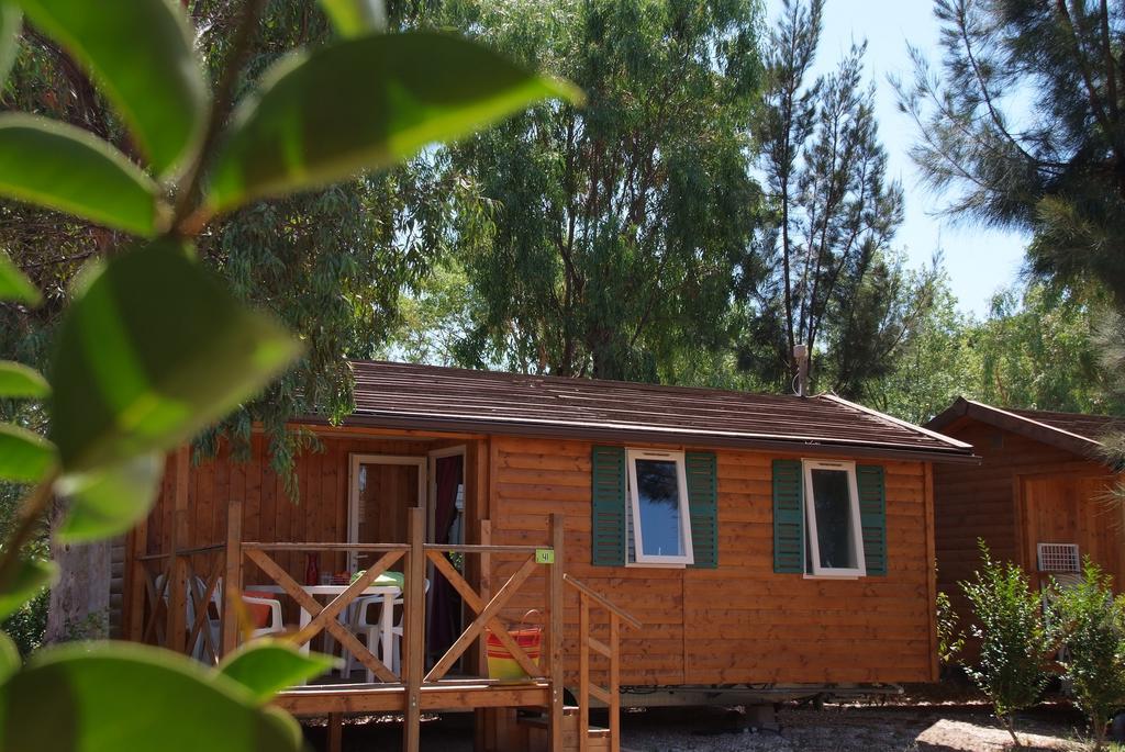 Camping Les Palmiers Hyeres Bilik gambar